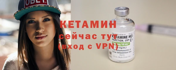 трава Аркадак