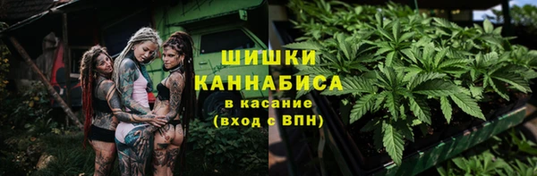 прущие грибы Арсеньев