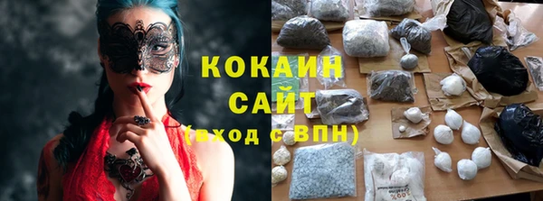прущие грибы Арсеньев
