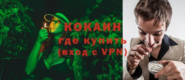 прущие грибы Арсеньев