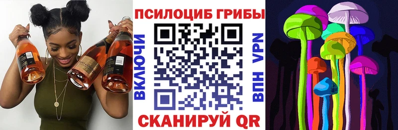 дарк нет Telegram  кракен зеркало  Северо-Курильск  Псилоцибиновые грибы GOLDEN TEACHER 